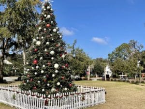 Christmas Tree Bluffton