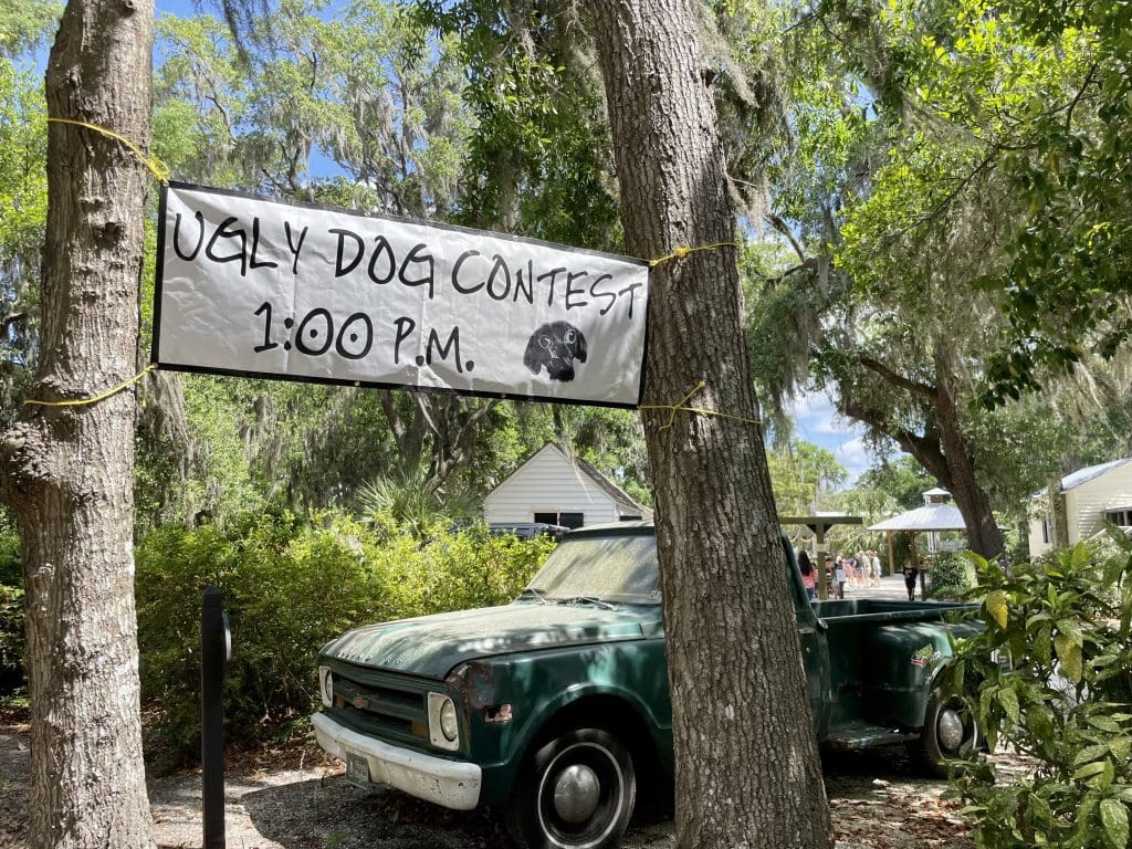 Ugly Dog Contest Mayfest Bluffton 